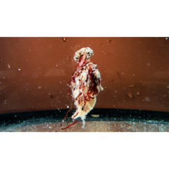 Šonův Sopel Ready to Go 500ml