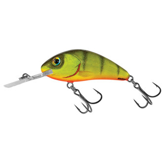 Wobler Salmo Minnow Floating 2"