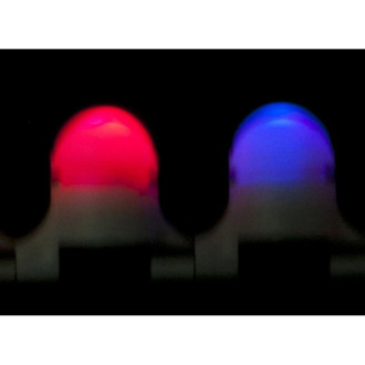 Noční signalizátor Uni Cat Tip Light