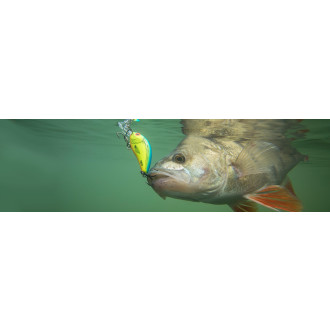 Wobler Salmo Slider Sinking 4 3/4"