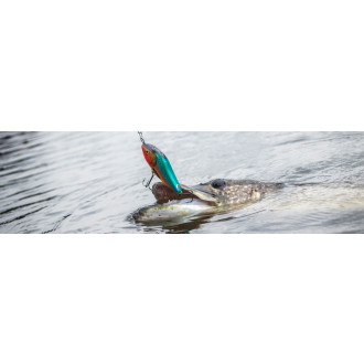 Wobler Salmo Slider Sinking 4 3/4"