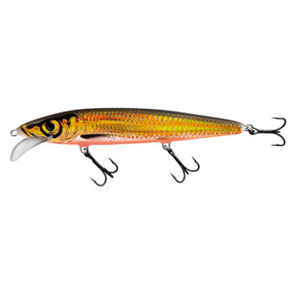 Wobler Salmo Minnow Floating 2"