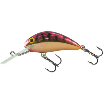 Wobler Salmo Executor Shallow Runner 3 1/2"
