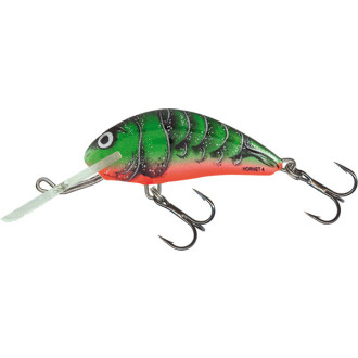 Wobler Salmo Executor Shallow Runner 3 1/2"