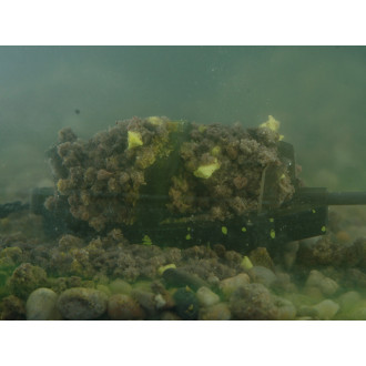 Krmítko bez olova Delphin Method QUIX ECO XL