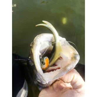 Gumové nástrahy Quantum Pelagic Shad Set 1ks 60g / 21cm