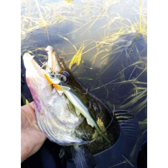 Gumové nástrahy Quantum Pelagic Shad Set 1ks 60g / 21cm