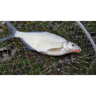 Rohlíkové boilies FLUO 30g - BANÁN