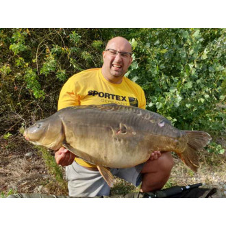 Tričko Sportex T-Shirt s velkým logem žluté