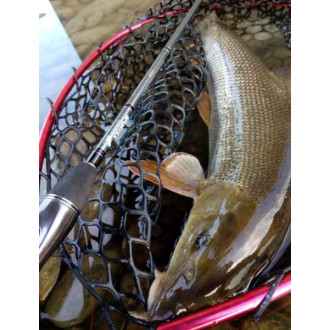 Přívlačový prut Sportex Graphenon Ultra Light 2-díl