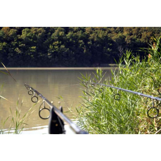 Kaprové pruty SPORTEX Revolt Carp 2-díl