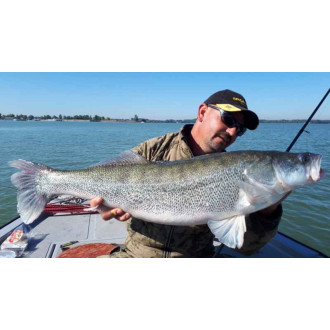 Přívlačové pruty SPORTEX Revolt Spin 2-díl