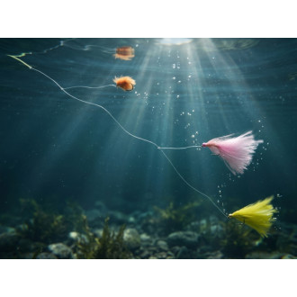 Sada umělých mušek Delphin FLY Pond Trout 10ks