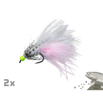 Sada umělých mušek Delphin FLY Wild Trout 10ks