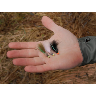 Sada umělých mušek Delphin FLY Wild Trout 10ks