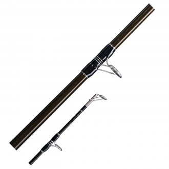 Prut Giants Fishing Deluxe Catfish 2,90m 500g