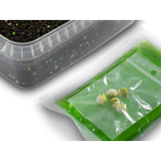 Pellet box Delphin Reaxe Ready&Go Česnek - Butyric 400g +120ml Booster + 10mm Wafters