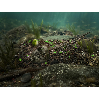 Pellet box Delphin Reaxe Ready&Go Česnek - Butyric 400g +120ml Booster + 10mm Wafters