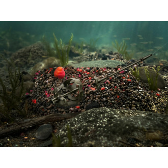 Pellet box Delphin Reaxe Ready&Go Mango - Broskev 400g +120ml Booster + 10mm Wafters