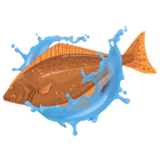 Dip Starbaits Grab & Go Global 500ml