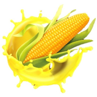 Dip Starbaits Grab & Go Global 500ml