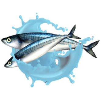 Method Mix Starbaits Global 1,8kg