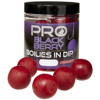 Boilies v dipu Starbaits Boilies In Dip Probiotic Blackberry 150g