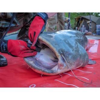 Plachta pod sumce Hell-Cat 290 x 145 cm