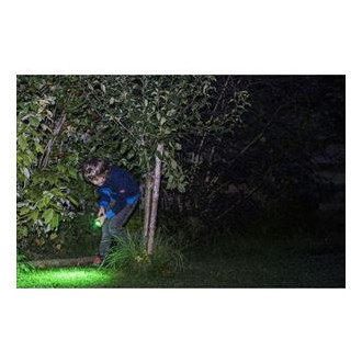 LEDLENSER KIDBEAM4 DINO