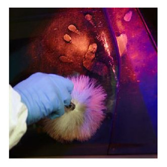 LEDLENSER P7R WORK UV