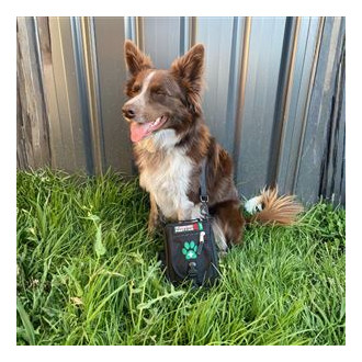 Lékárnička Survival First Aid Kit Pet CZ