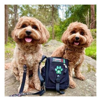 Lékárnička Survival First Aid Kit Pet CZ