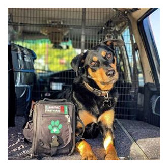 Lékárnička Survival First Aid Kit Pet CZ