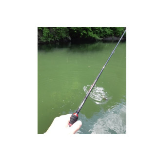 Set SPORTEX Captor 2,10m/20g+SHIMANO Nexave+šňůra