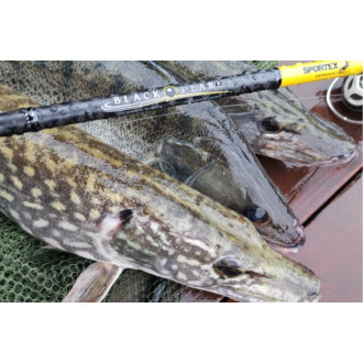 Set SPORTEX Black Pearl GT-3 2,1m/20g+SHIMANO Nexave+šňůra