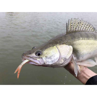 Gumové nástrahy Quantum Pelagic Shad Set 1ks 60g / 21cm