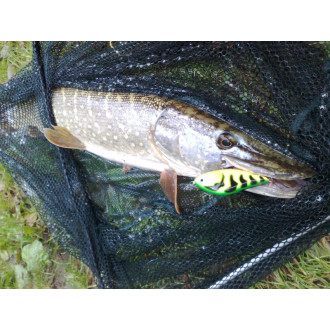 Salmo rybářské woblery slider SD7F