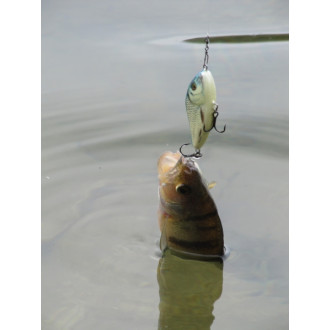 Salmo rybářské woblery slider SD7F