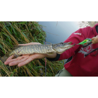 Salmo rybářské woblery SLIDER SD5S