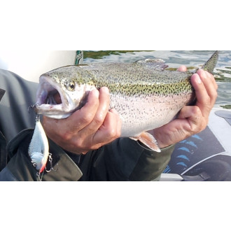 Salmo rybářské woblery SLIDER SD5S