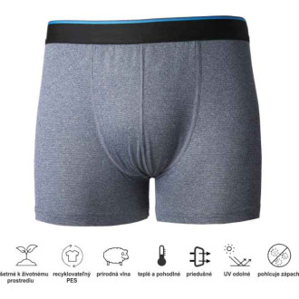Geoff Anderson WizWool boxer shorts
