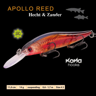 Doiyo wobler Apollo Reed Hecht & Zander 11cm 14g RR