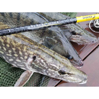 Přívlačové pruty SPORTEX Black Pearl GT-3 2-díl - 210cm / 20g baitcast