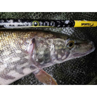 Přívlačové pruty SPORTEX Black Pearl GT-3 2-díl - 210cm / 20g baitcast