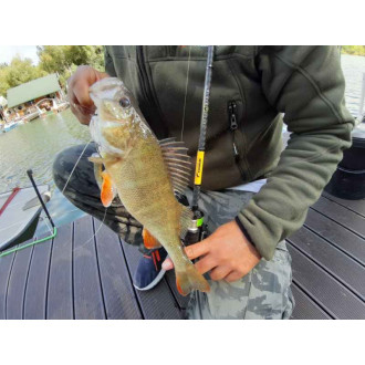 Přívlačové pruty SPORTEX Black Pearl GT-3 2-díl - 210cm / 20g baitcast