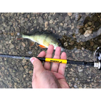 Přívlačové pruty SPORTEX Black Pearl GT-3 2-díl - 210cm / 20g baitcast