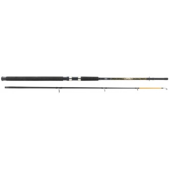 Prut Mitchell Catch 2 Boat 2,10m 100-300g