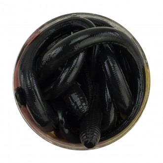 Rousnice Berkley Gulp! Nightcrawler 8cm 10ks