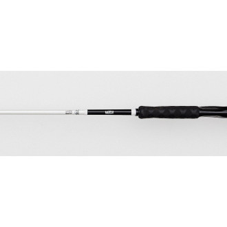 White Light Spin Rod