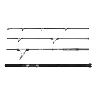 Ally II Offshore Casting Travel Rod